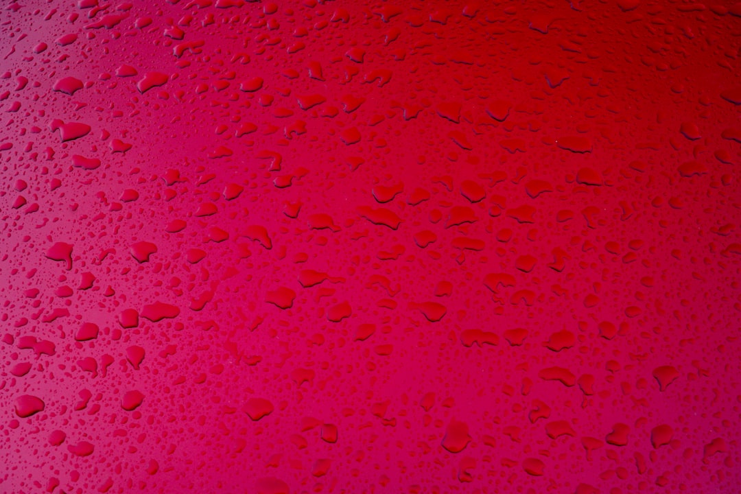 Photo Image: Clothing Nouns: Red shirt