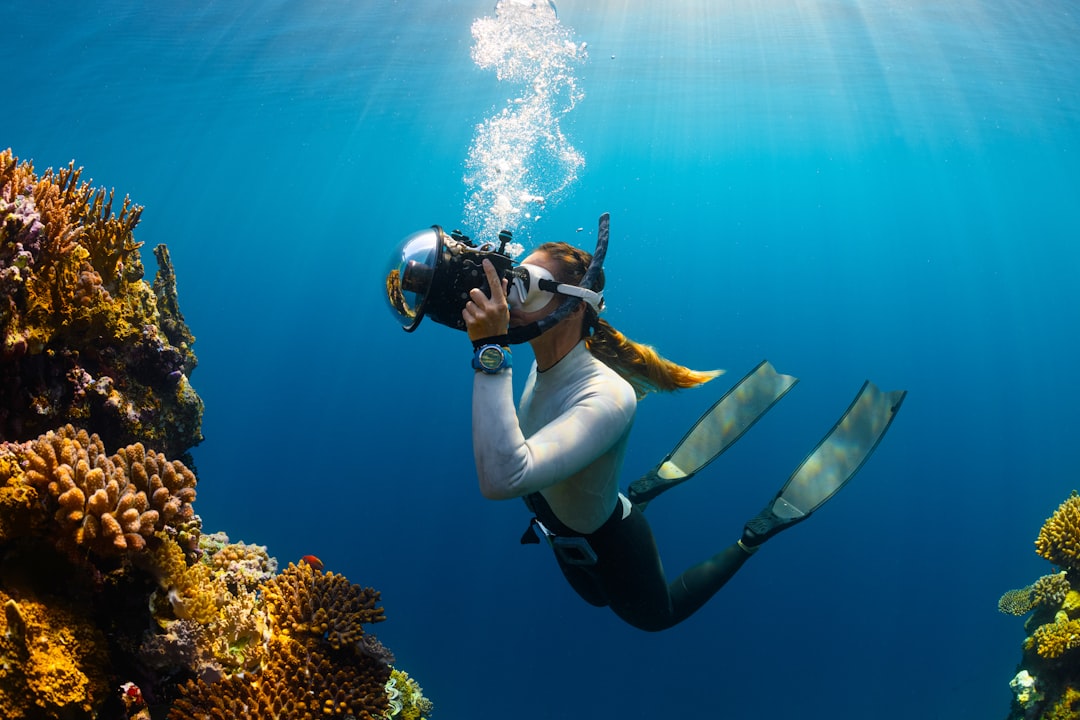 Photo Underwater adventure